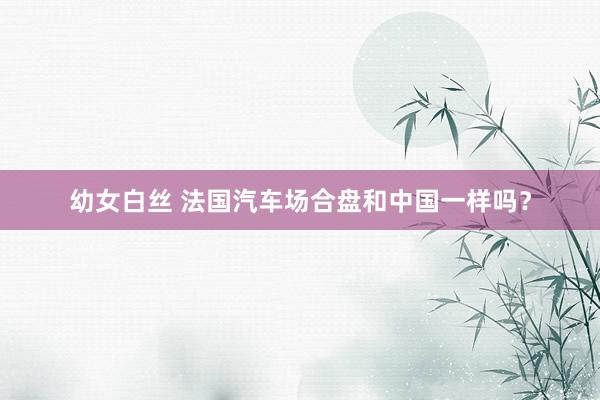幼女白丝 法国汽车场合盘和中国一样吗？