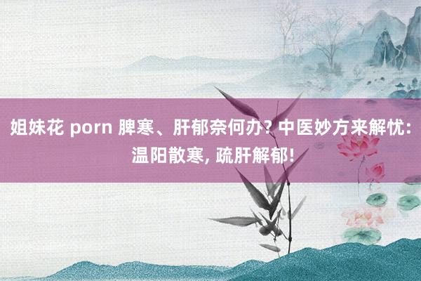 姐妹花 porn 脾寒、肝郁奈何办? 中医妙方来解忧: 温阳散寒， 疏肝解郁!