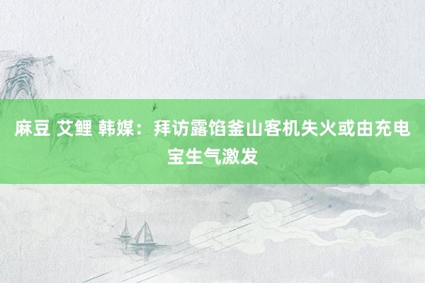 麻豆 艾鲤 韩媒：拜访露馅釜山客机失火或由充电宝生气激发