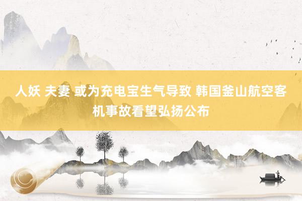 人妖 夫妻 或为充电宝生气导致 韩国釜山航空客机事故看望弘扬公布