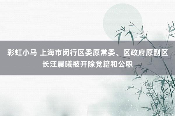 彩虹小马 上海市闵行区委原常委、区政府原副区长汪晨曦被开除党籍和公职