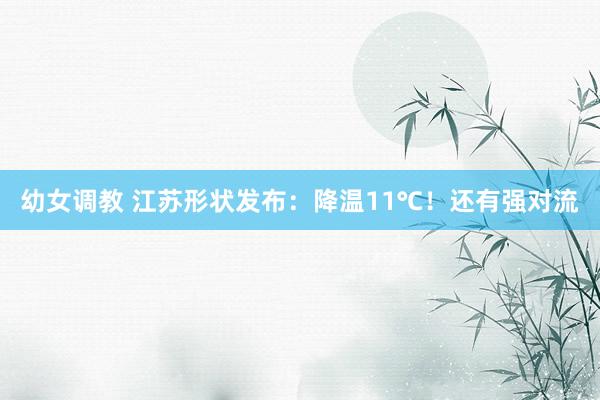 幼女调教 江苏形状发布：降温11℃！还有强对流