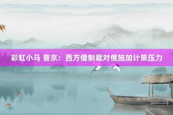 彩虹小马 普京：西方借制裁对俄施加计策压力