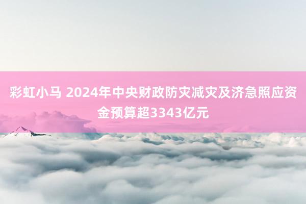 彩虹小马 2024年中央财政防灾减灾及济急照应资金预算超3343亿元