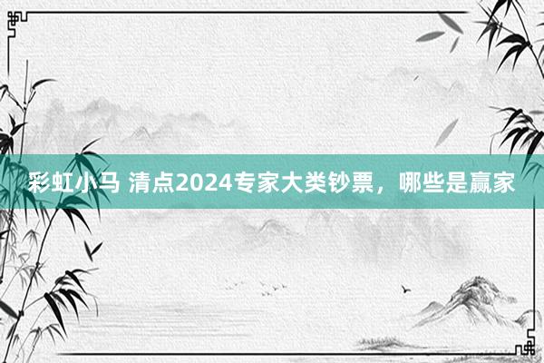 彩虹小马 清点2024专家大类钞票，哪些是赢家