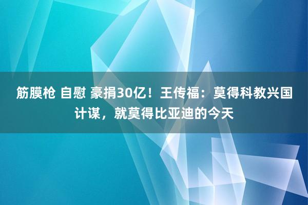 筋膜枪 自慰 豪捐30亿！王传福：莫得科教兴国计谋，就莫得比亚迪的今天