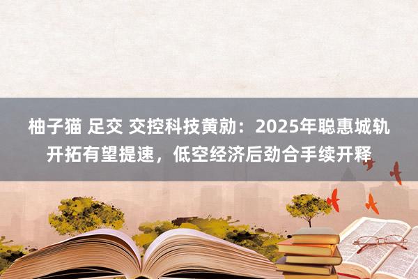 柚子猫 足交 交控科技黄勍：2025年聪惠城轨开拓有望提速，低空经济后劲合手续开释