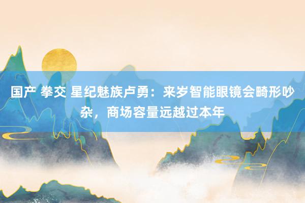 国产 拳交 星纪魅族卢勇：来岁智能眼镜会畸形吵杂，商场容量远越过本年