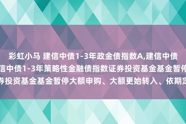彩虹小马 建信中债1-3年政金债指数A，建信中债1-3年政金债指数C: 建信中债1-3年策略性金融债指数证券投资基金基金暂停大额申购、大额更始转入、依期定额投资公告
