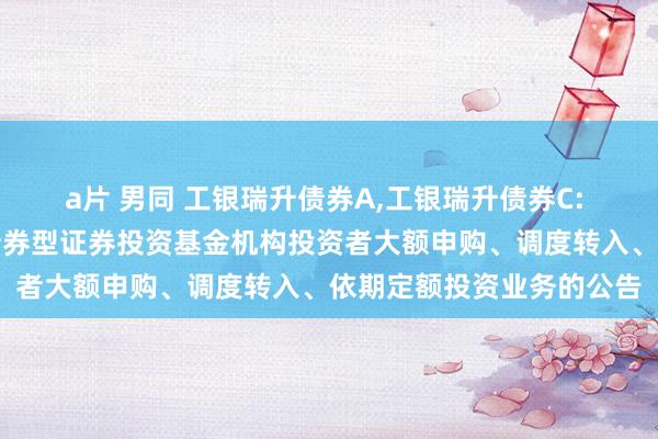 a片 男同 工银瑞升债券A，工银瑞升债券C: 对于归附工银瑞信瑞升债券型证券投资基金机构投资者大额申购、调度转入、依期定额投资业务的公告