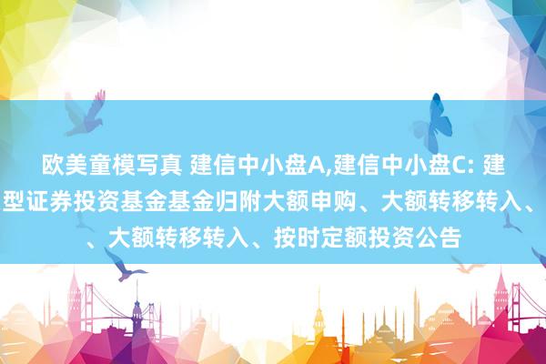 欧美童模写真 建信中小盘A，建信中小盘C: 建信中小盘前锋股票型证券投资基金基金归附大额申购、大额转移转入、按时定额投资公告