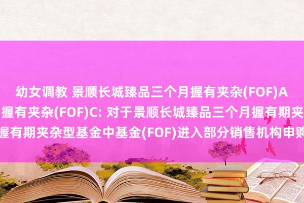 幼女调教 景顺长城臻品三个月握有夹杂(FOF)A,景顺长城臻品三个月握有夹杂(FOF)C: 对于景顺长城臻品三个月握有期夹杂型基金中基金(FOF)进入部分销售机构申购费率优惠活动的公告