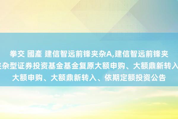 拳交 國產 建信智远前锋夹杂A，建信智远前锋夹杂C: 建信智远前锋夹杂型证券投资基金基金复原大额申购、大额鼎新转入、依期定额投资公告