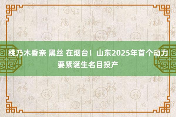 桃乃木香奈 黑丝 在烟台！山东2025年首个动力要紧诞生名目投产