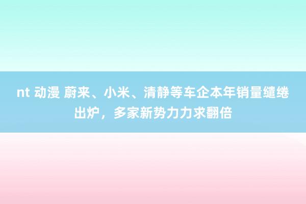 nt 动漫 蔚来、小米、清静等车企本年销量缱绻出炉，多家新势力力求翻倍