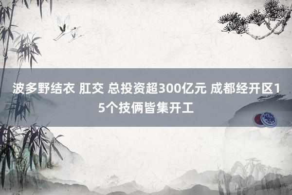 波多野结衣 肛交 总投资超300亿元 成都经开区15个技俩皆集开工