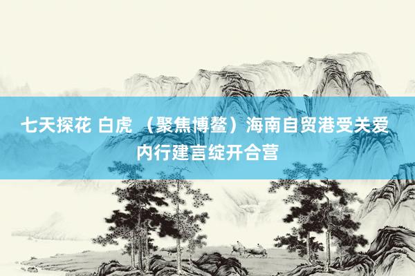 七天探花 白虎 （聚焦博鳌）海南自贸港受关爱 内行建言绽开合营