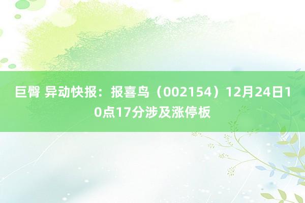 巨臀 异动快报：报喜鸟（002154）12月24日10点17分涉及涨停板