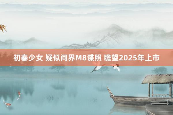 初春少女 疑似问界M8谍照 瞻望2025年上市