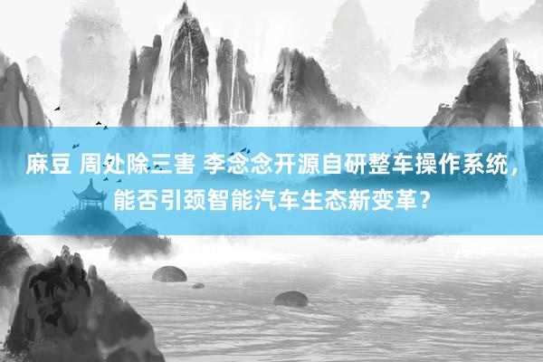 麻豆 周处除三害 李念念开源自研整车操作系统，能否引颈智能汽车生态新变革？