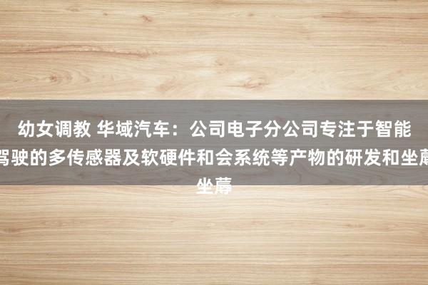 幼女调教 华域汽车：公司电子分公司专注于智能驾驶的多传感器及软硬件和会系统等产物的研发和坐蓐