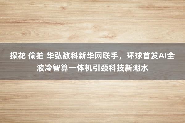 探花 偷拍 华弘数科新华网联手，环球首发AI全液冷智算一体机引颈科技新潮水
