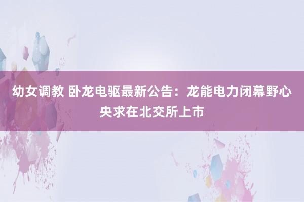 幼女调教 卧龙电驱最新公告：龙能电力闭幕野心央求在北交所上市