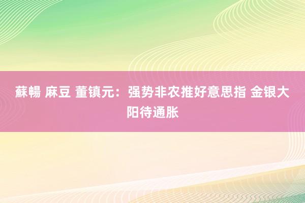 蘇暢 麻豆 董镇元：强势非农推好意思指 金银大阳待通胀