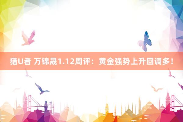 猎U者 万锦晟1.12周评：黄金强势上升回调多！