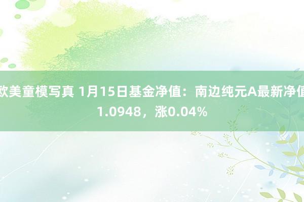 欧美童模写真 1月15日基金净值：南边纯元A最新净值1.0948，涨0.04%