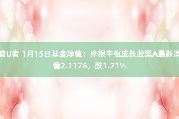 猎U者 1月15日基金净值：摩根中枢成长股票A最新净值2.1176，跌1.21%