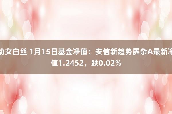 幼女白丝 1月15日基金净值：安信新趋势羼杂A最新净值1.2452，跌0.02%