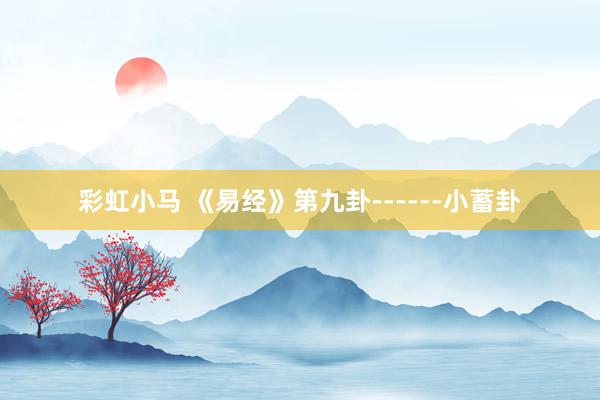 彩虹小马 《易经》第九卦------小蓄卦