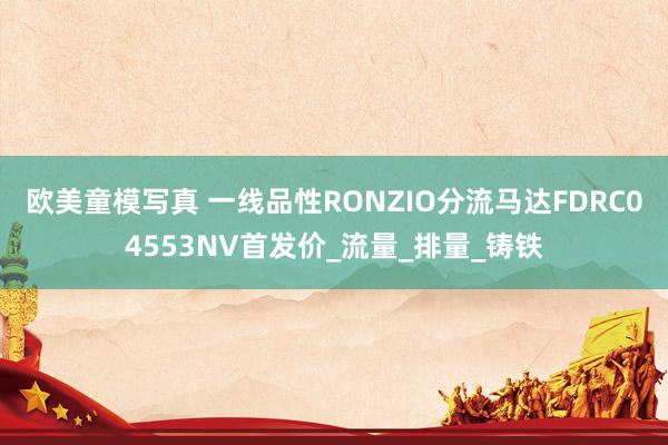 欧美童模写真 一线品性RONZIO分流马达FDRC04553NV首发价_流量_排量_铸铁