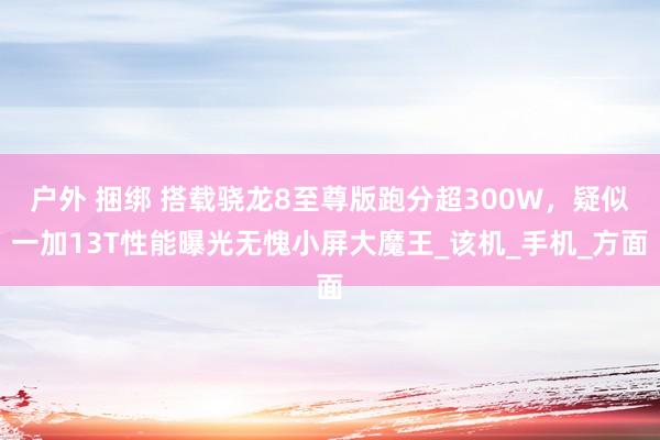 户外 捆绑 搭载骁龙8至尊版跑分超300W，疑似一加13T性能曝光无愧小屏大魔王_该机_手机_方面