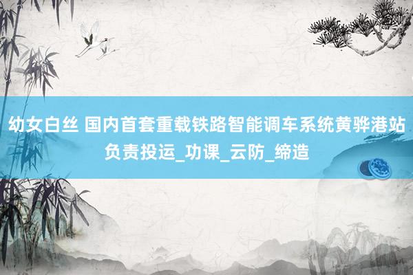 幼女白丝 国内首套重载铁路智能调车系统黄骅港站负责投运_功课_云防_缔造