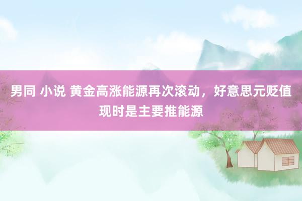 男同 小说 黄金高涨能源再次滚动，好意思元贬值现时是主要推能源