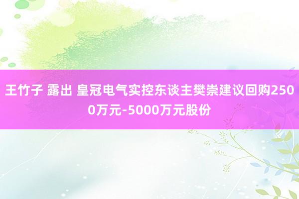 王竹子 露出 皇冠电气实控东谈主樊崇建议回购2500万元-5000万元股份