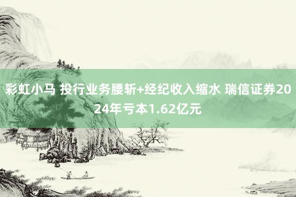 彩虹小马 投行业务腰斩+经纪收入缩水 瑞信证券2024年亏本1.62亿元