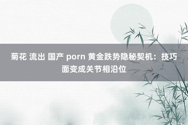 菊花 流出 国产 porn 黄金跌势隐秘契机：技巧面变成关节相沿位