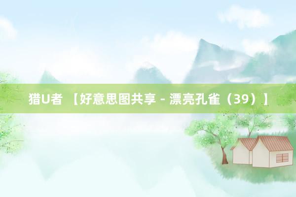 猎U者 【好意思图共享 - 漂亮孔雀（39）】