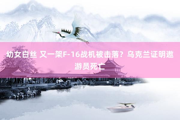 幼女白丝 又一架F-16战机被击落？乌克兰证明遨游员死亡