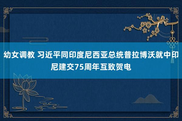 幼女调教 习近平同印度尼西亚总统普拉博沃就中印尼建交75周年互致贺电