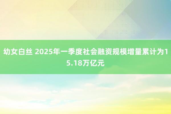 幼女白丝 2025年一季度社会融资规模增量累计为15.18万亿元