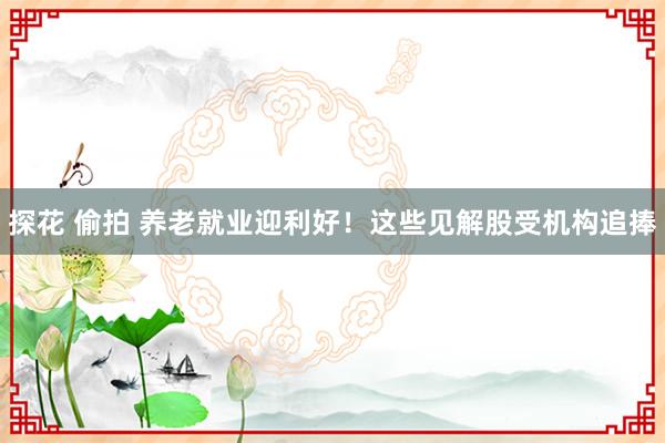 探花 偷拍 养老就业迎利好！这些见解股受机构追捧