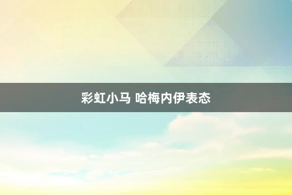 彩虹小马 哈梅内伊表态