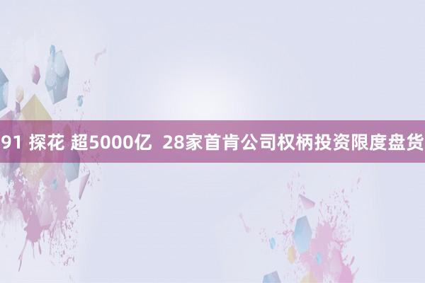91 探花 超5000亿  28家首肯公司权柄投资限度盘货