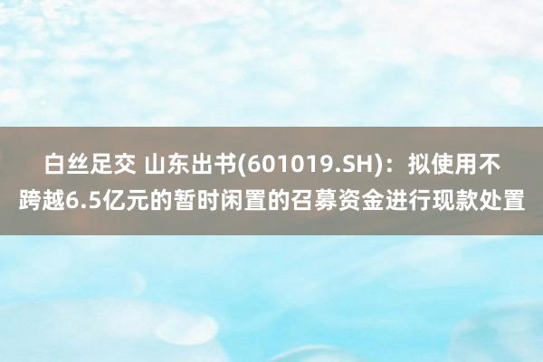 白丝足交 山东出书(601019.SH)：拟使用不跨越6.5亿元的暂时闲置的召募资金进行现款处置