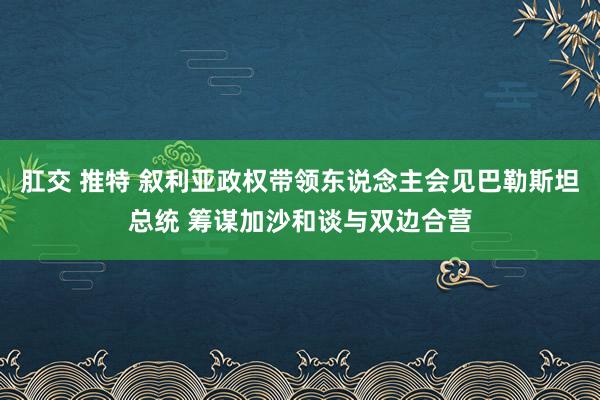 肛交 推特 叙利亚政权带领东说念主会见巴勒斯坦总统 筹谋加沙和谈与双边合营