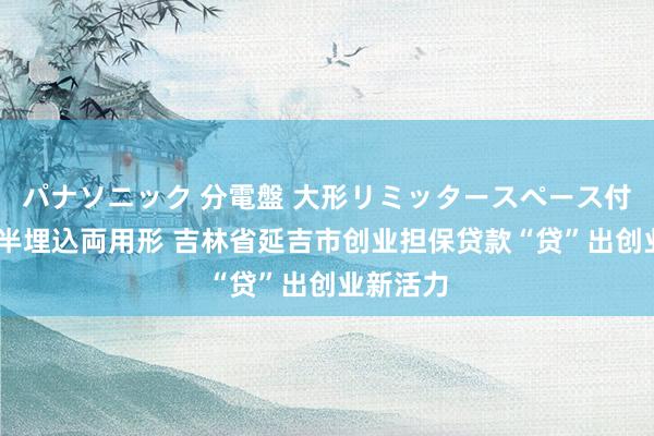パナソニック 分電盤 大形リミッタースペース付 露出・半埋込両用形 吉林省延吉市创业担保贷款“贷”出创业新活力